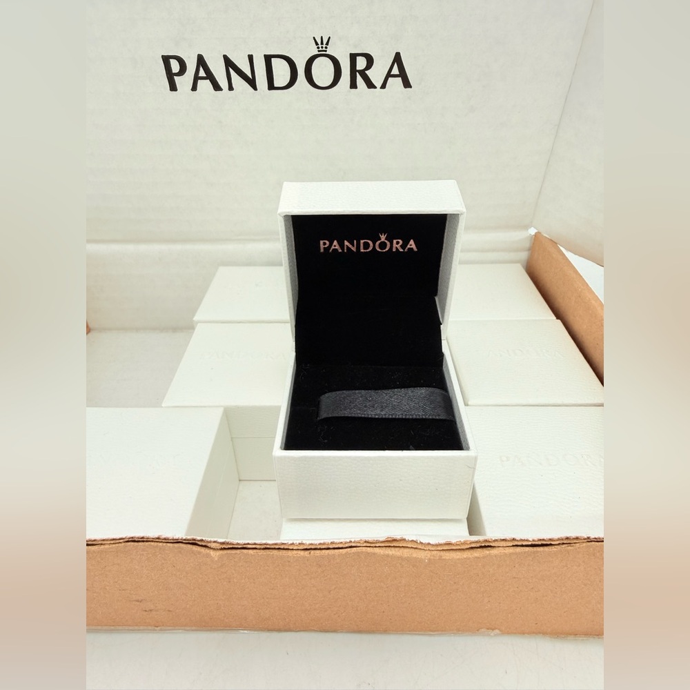 Pandora Black and White Jewelry Boxes, 11 new boxes